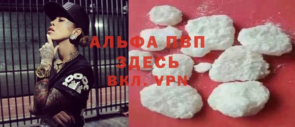 ECSTASY Новозыбков