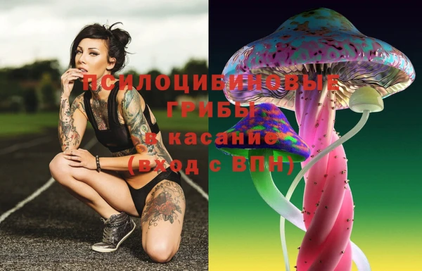 ALPHA PVP Зеленокумск